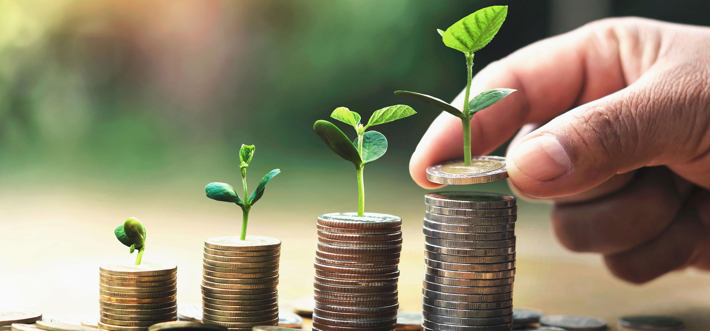 880 Life - Swiss Clients